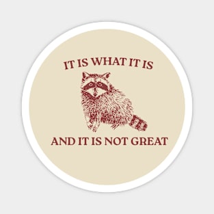 It Is What It Is And It Is Not Great Magnet